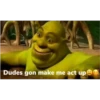 shrek is in fact love 26