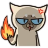 Siamese cat reactions 23