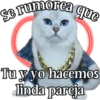 MICHI Pa' Enamorarte bb 26
