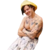 Golden Harry Styles 17
