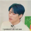 I pretend I do not see