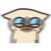 Siamese cat reactions 24