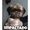 De todo 29