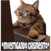 *INVESTIGANDO CHISMESITO*