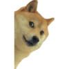 PERRITO 27
