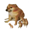 PERRITO 28
