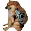 PERRITO 29