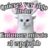 MICHI Pa' Enamorarte bb 28