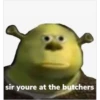 shrek is in fact love 29