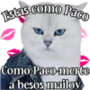 MICHI Pa' Enamorarte bb 29
