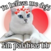 MICHI Pa' Enamorarte bb 30
