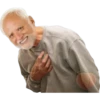 Hide The Pain Harold 29