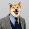 animales facheros (cool animals) 30