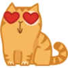 Cat Peach 1 5