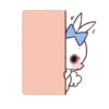 Rabbit 7