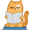 Cat Peach 1 6