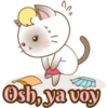 Zuki, Gatita Siamés (3) 6
