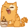Cat Peach 1 7