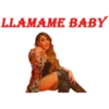 LLAMAME BABY