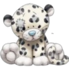 Blue Nose 5