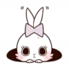 Rabbit 9