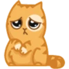Cat Peach 1 8