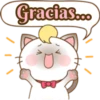 Zuki, Gatita Siamés (3) 9