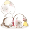 Zuki, Gatita Siamés (3) 10