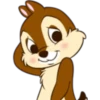 chip 5