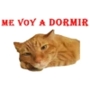 ME VOY A DORMIR
RAG