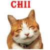 IIHO