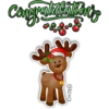 English Teacher~ Navidad 12
