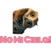 NO MI CIELA!
