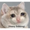 (Heavy Sobbing)