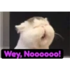 (＠_＠;) Animalitos 7