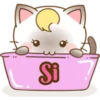 Zuki, Gatita Siamés (3) 12