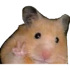 Animais 2 9