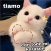 (＠_＠;) Animalitos 8
