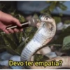 Animais 2 10
