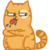 Cat Peach 1 9