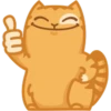 Cat Peach 1 10