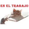 EN EL TRABAJO