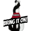 SHARING
BRING IT ON!