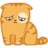 Cat Peach 2 6