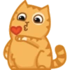 Cat Peach 1 11