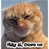 (＠_＠;) Animalitos 11