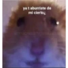 (＠_＠;) Animalitos 12