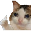 Animais 2 11