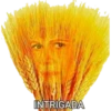 INTRIGADA