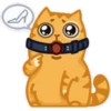 Cat Peach 1 12